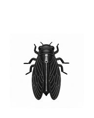 Cicada Crossbody Bag - Black